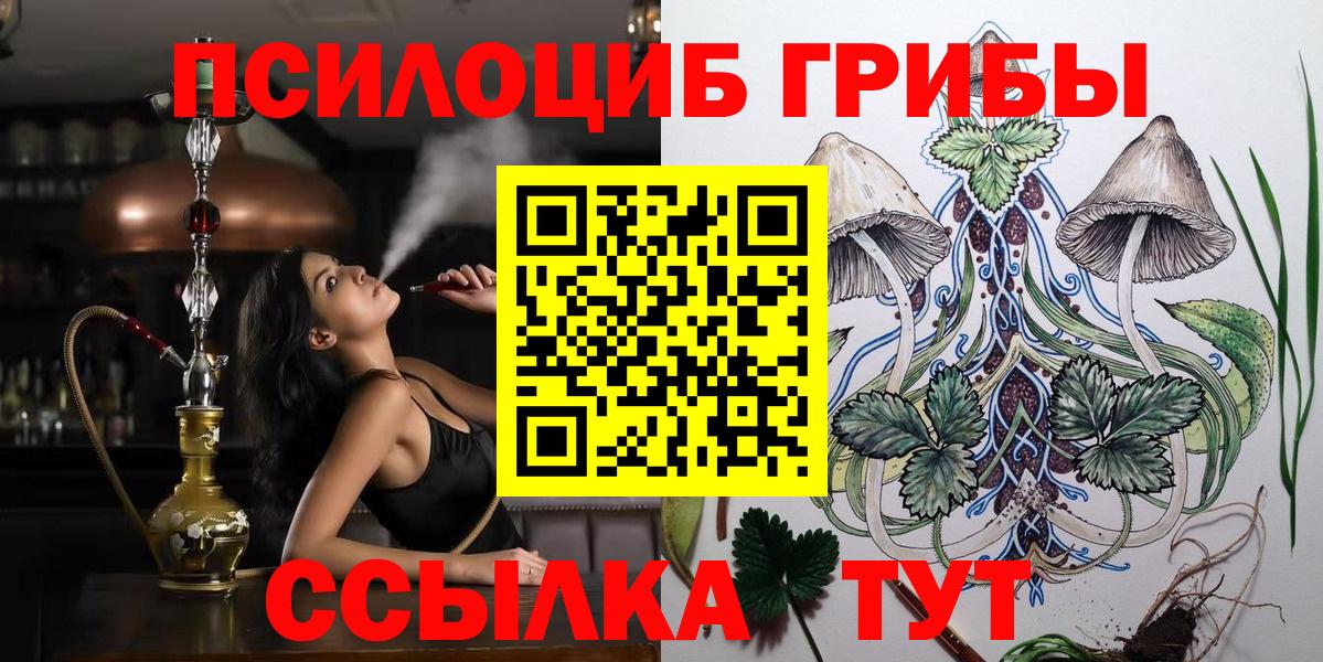 где купить наркоту  Вход с VPN  Елизово  Псилоцибиновые грибы Cubensis  Галлюциногенные грибы прущие грибы 
